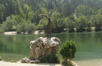 Poletje v Kranjski gori