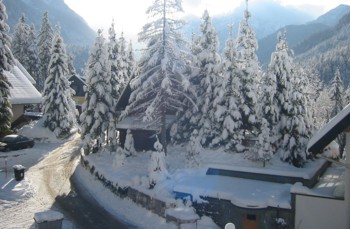 Zima V Kranjski Gori